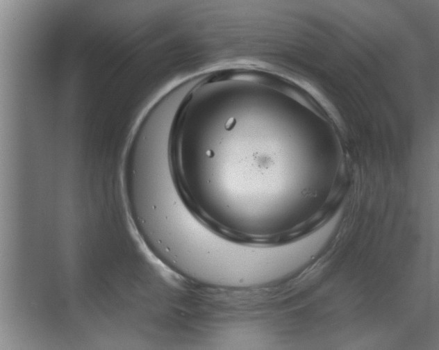 X0000070211054200605261247