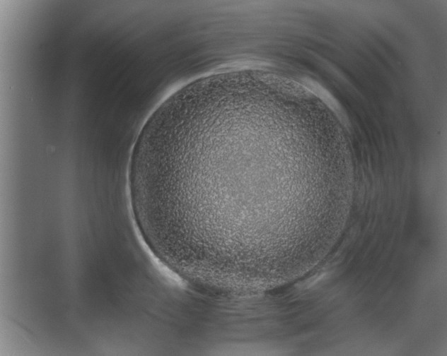 X0000070211055200605261247