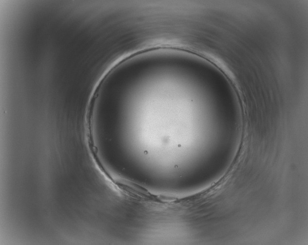 X0000070211056200605261247