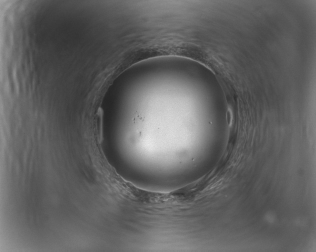 X0000070211057200605261246