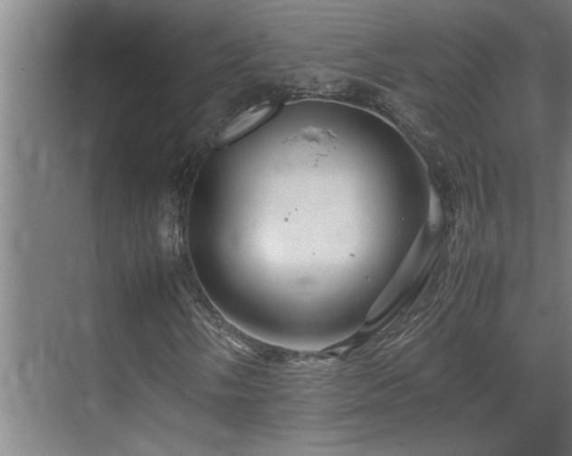 X0000070211058200605261246