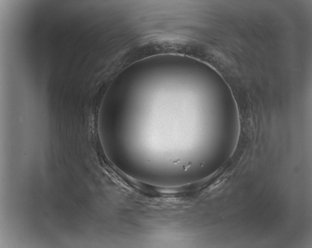 X0000070211061200605261246