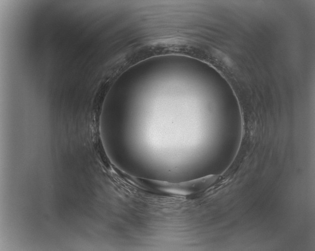 X0000070211062200605261246