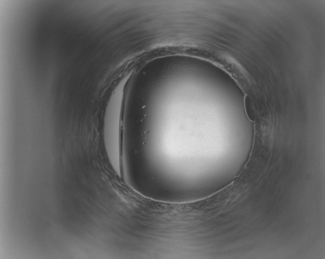 X0000070211064200605261246