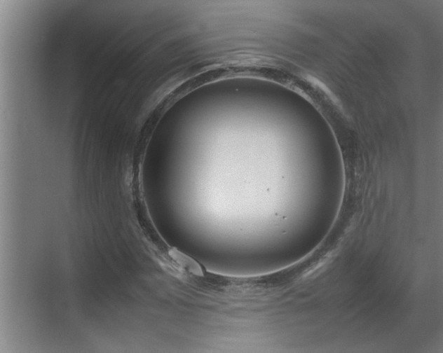 X0000070211065200605261246