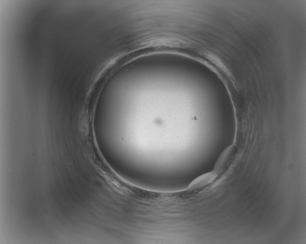 X0000070211067200605261246