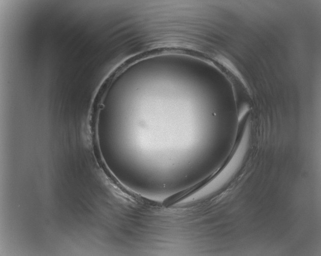 X0000070211068200605261246