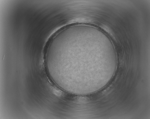 X0000070211070200605261246