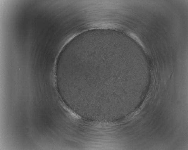 X0000070211071200605261246