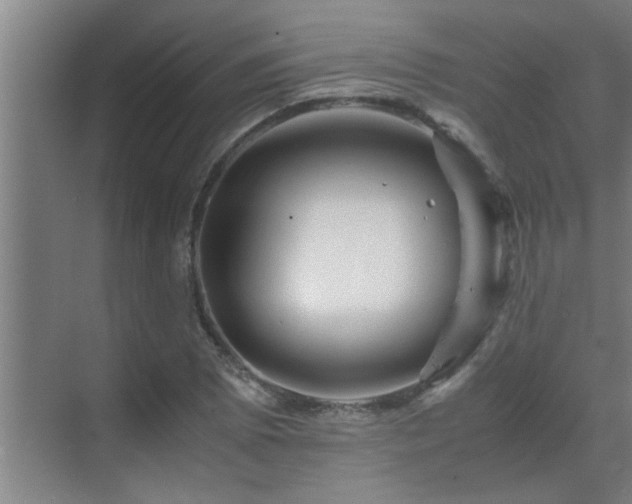 X0000070211073200605261246