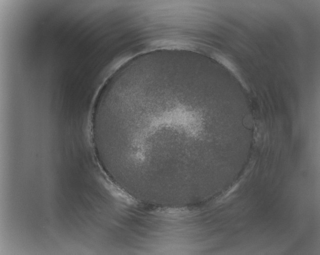 X0000070211074200605261246