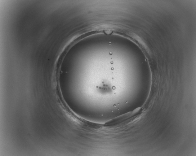 X0000070211075200605261246