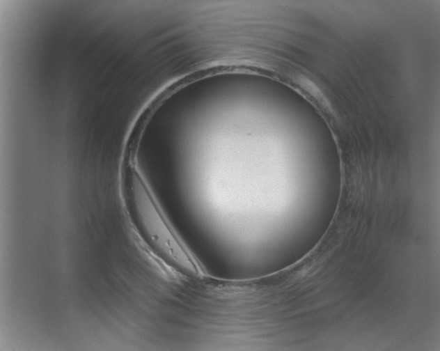 X0000070211076200605261246