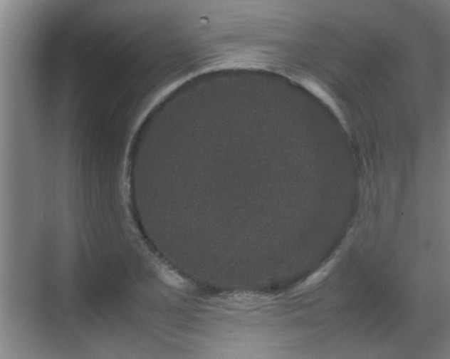 X0000070211077200605261246