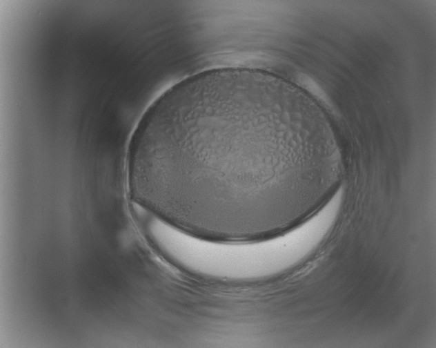 X0000070211079200605261246