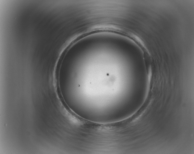 X0000070211082200605261246