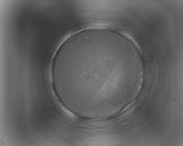 X0000070211083200605261246