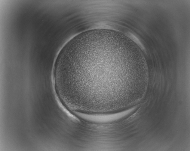 X0000070211084200605261246