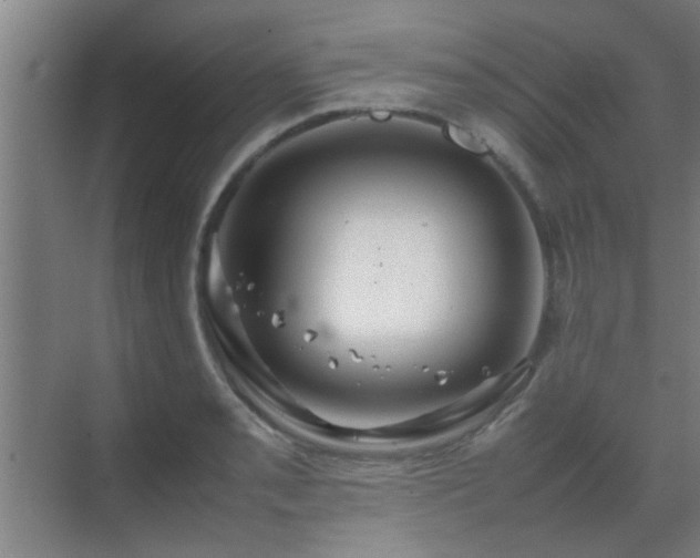 X0000070211085200605261246