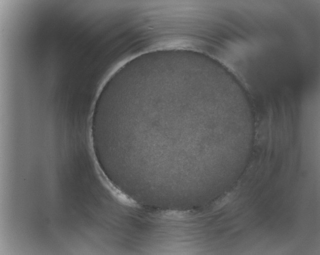 X0000070211086200605261246