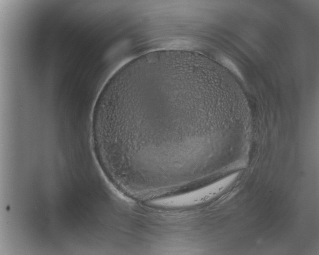 X0000070211087200605261246