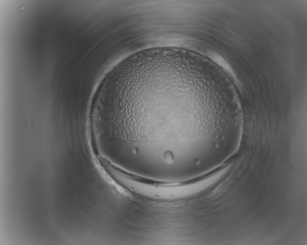 X0000070211088200605261246