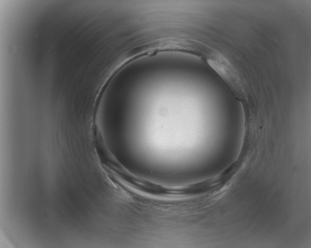 X0000070211089200605261246