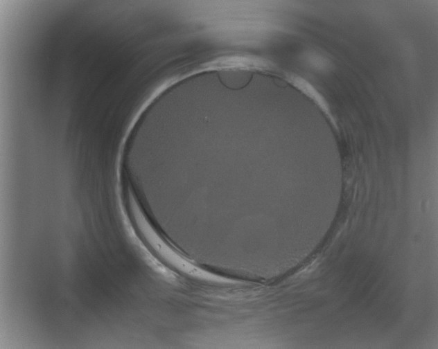 X0000070211091200605261246