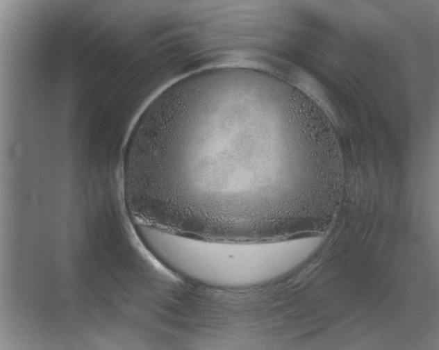 X0000070211092200605261246