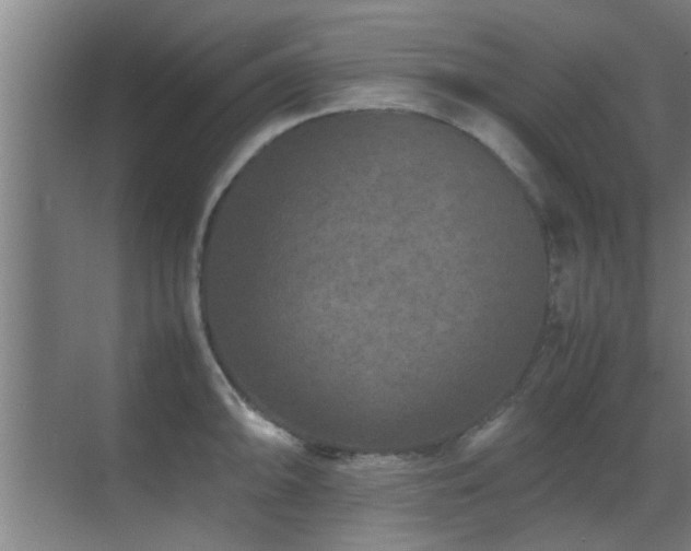 X0000070211094200605261246