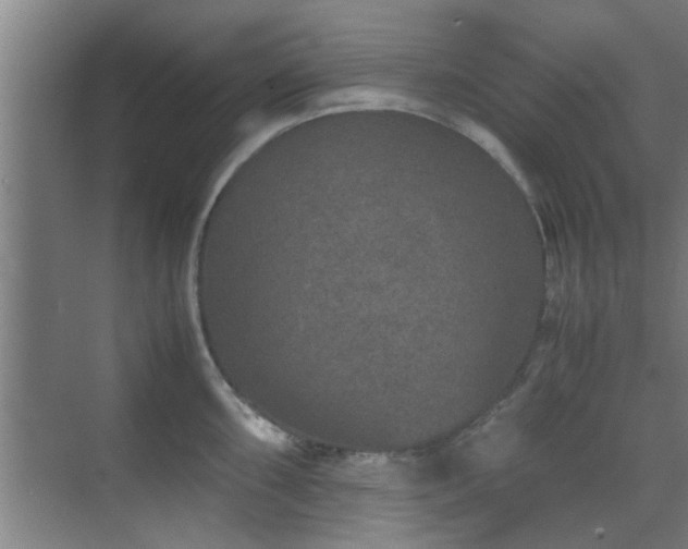 X0000070211098200605261245