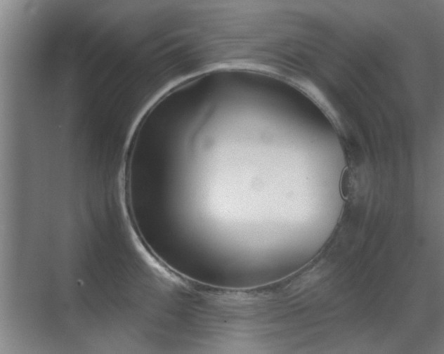 X0000070211100200605261245