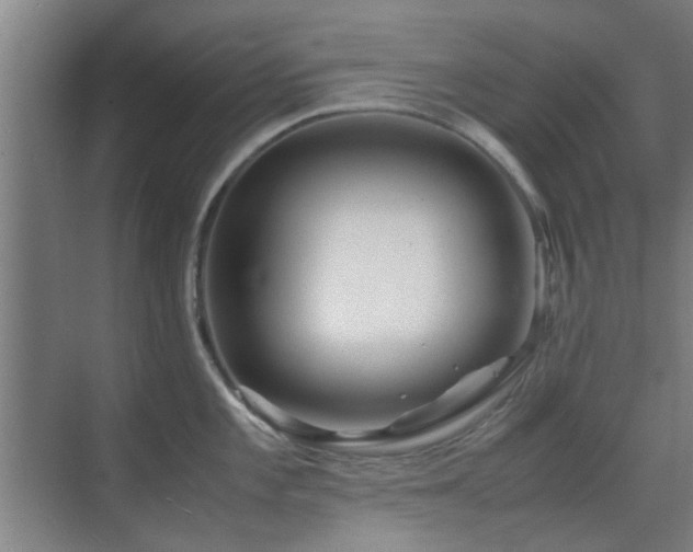 X0000070211101200605261245