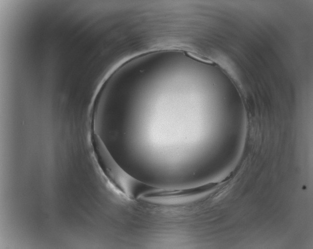 X0000070211102200605261245