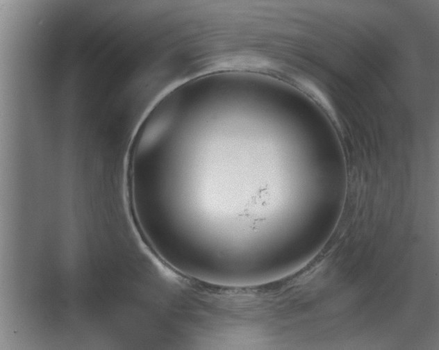 X0000070211103200605261245