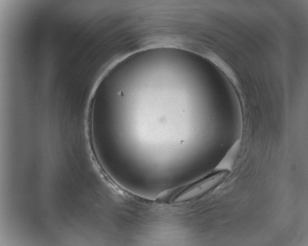 X0000070211104200605261245