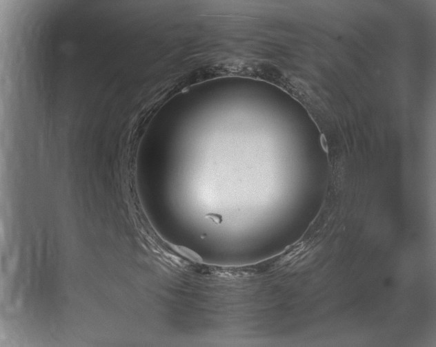 X0000070211105200605261245