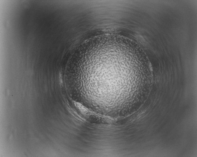 X0000070211106200605261245