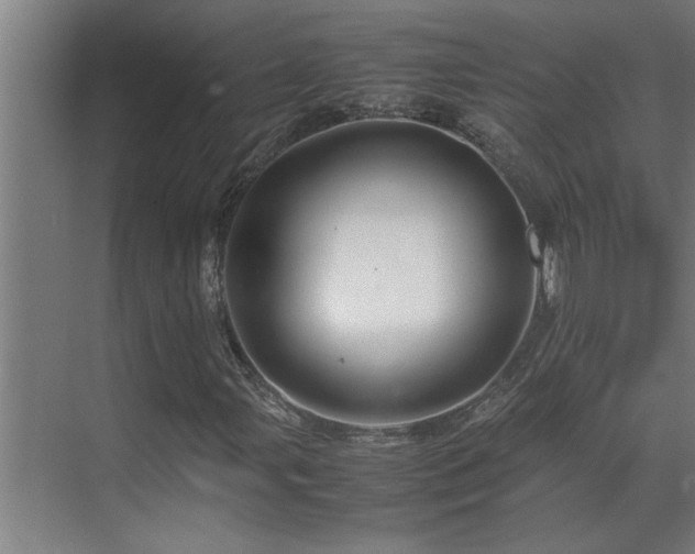 X0000070211107200605261245