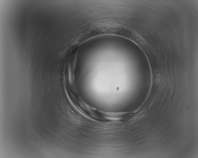 X0000070211108200605261245