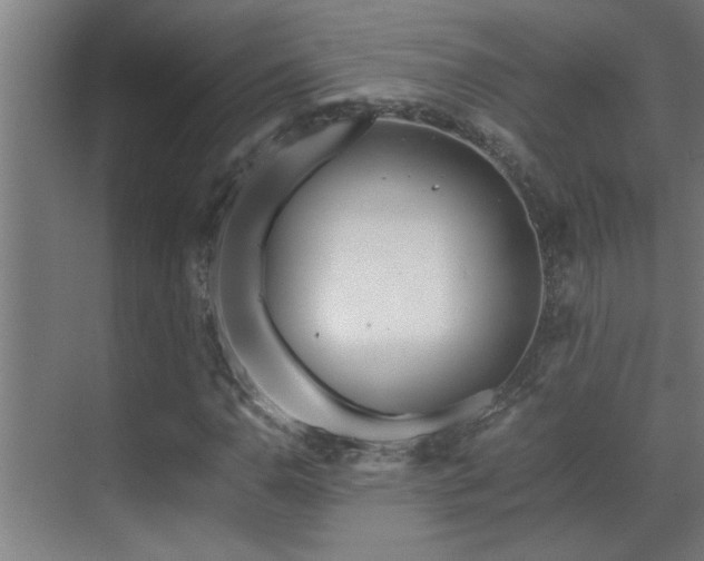 X0000070211110200605261245