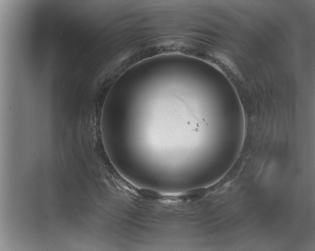 X0000070211111200605261245