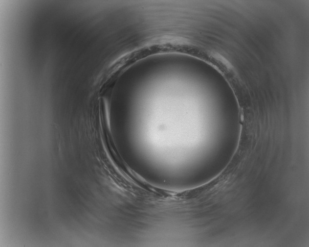 X0000070211112200605261245