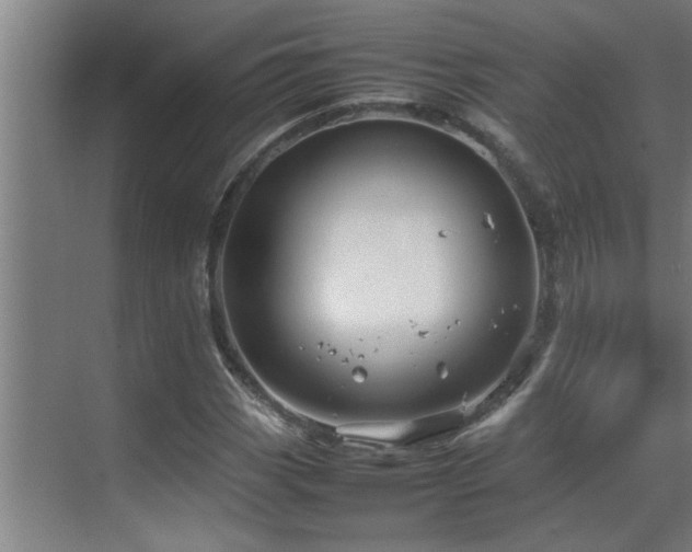 X0000070211113200605261245