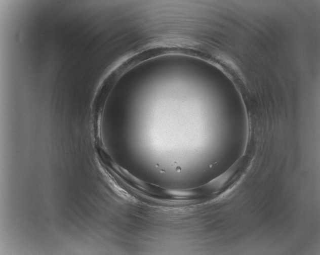 X0000070211114200605261245