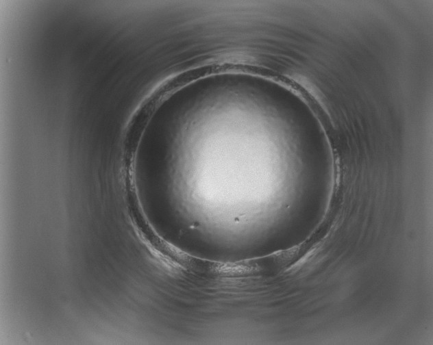 X0000070211115200605261245