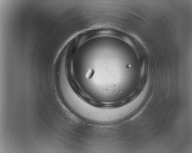 X0000070211118200605261245