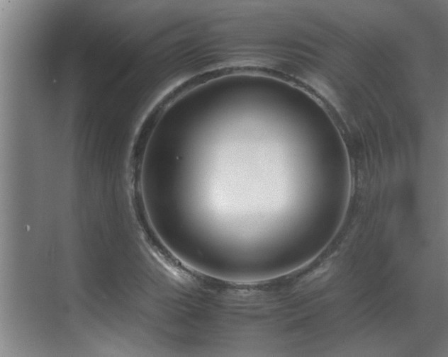 X0000070211119200605261245