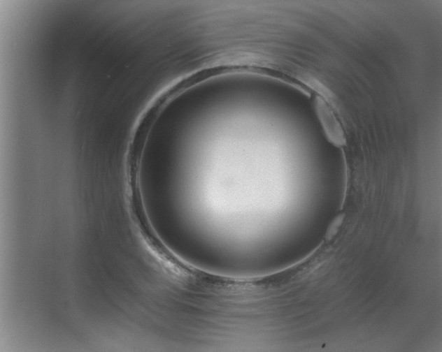 X0000070211120200605261245