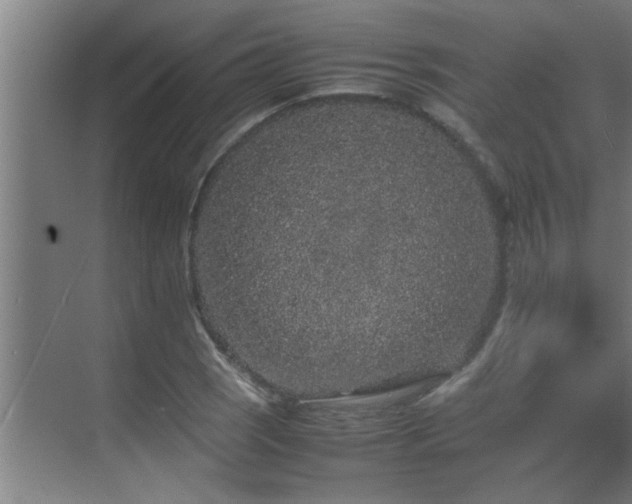 X0000070211121200605261245